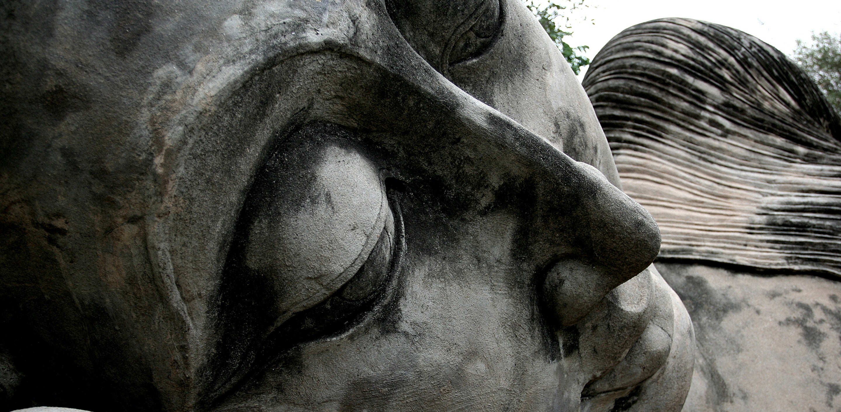On Wisdom: Unlocking the Power of Stillness